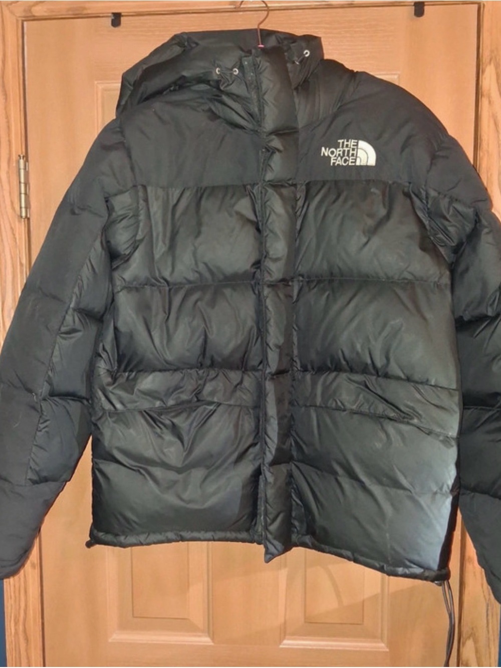 Hooded The North Face Men's 550 Black Puffer Jacket